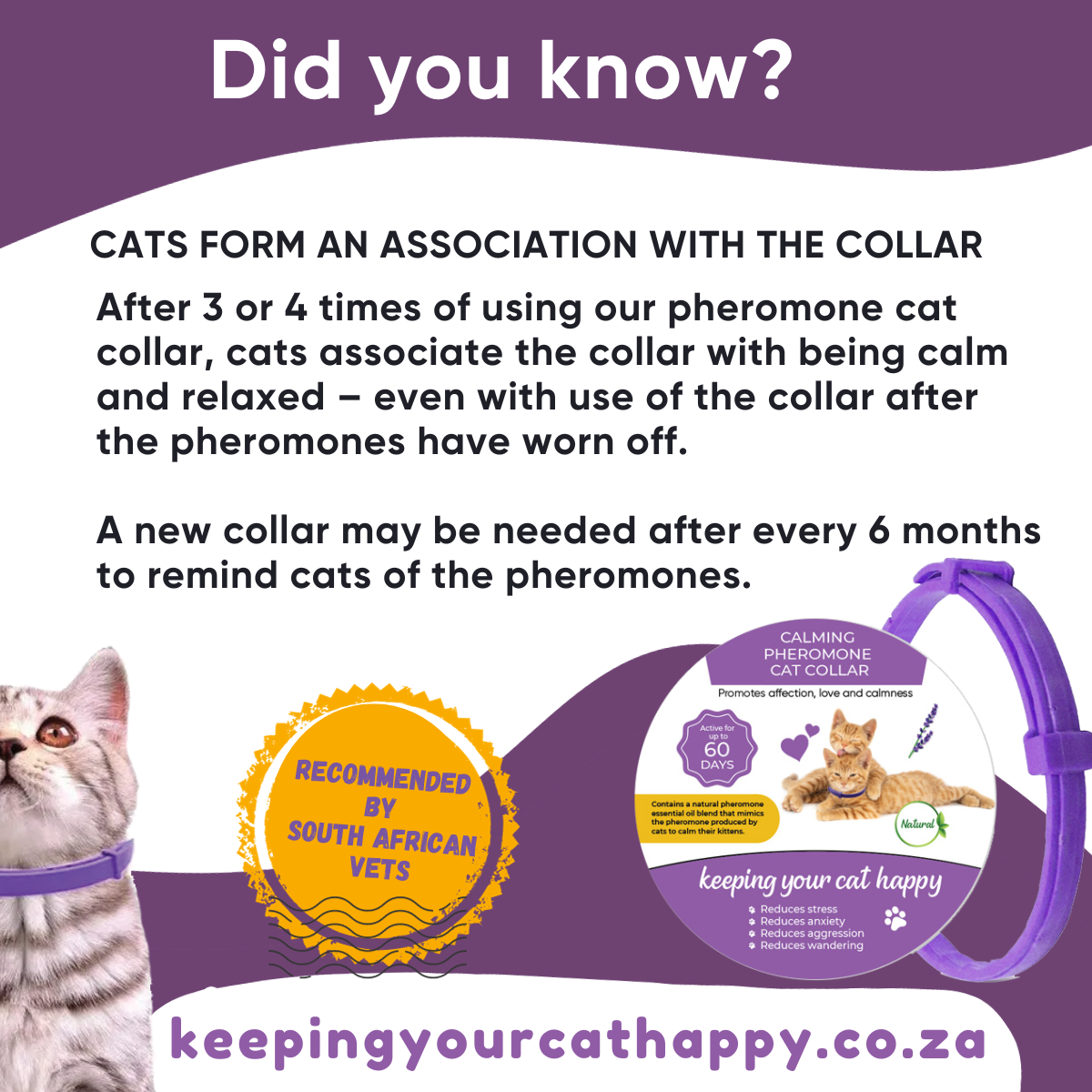 Calming Pheromone Cat Collar